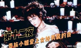 十二夜电影在线观看,一场关于爱情与成长的情感之旅